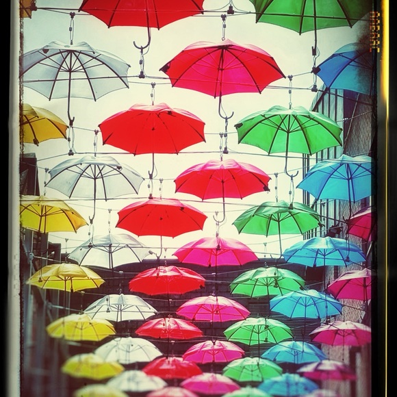 Meet your Posher, Britney - Picture 7 of 9